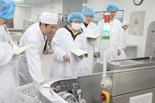 凝心聚力守正創新，聚焦主業服務監管——山東省藥監局各區域檢查分局與直屬單位工作亮點盤點